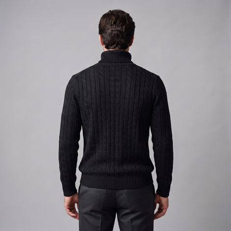 Herren Rollkragenpullover mit Zopfmuster