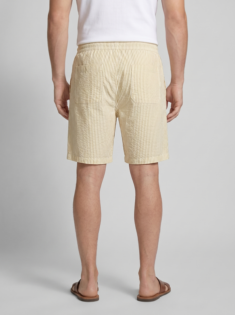 Herren Freizeitgestreifte Sommer-Shorts