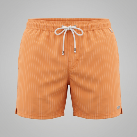 Herren Schnelltrocknende Streifen Badeshorts