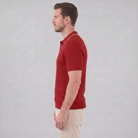 Herren Kurzarm Polohemd Lässiges Klassisches Design