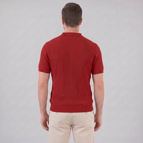 Herren Kurzarm Polohemd Lässiges Klassisches Design